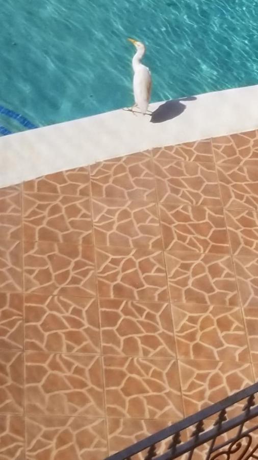 Chaudhry Holiday House Бухта Монтего Экстерьер фото